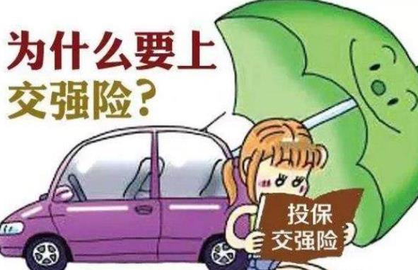 交强险有必须买吗 强制购买险种,按国家规定收取